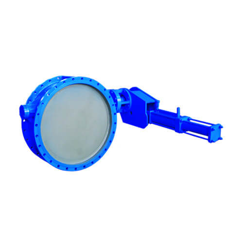 Butterfly Check Valve