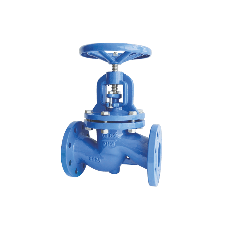 Globe Valve