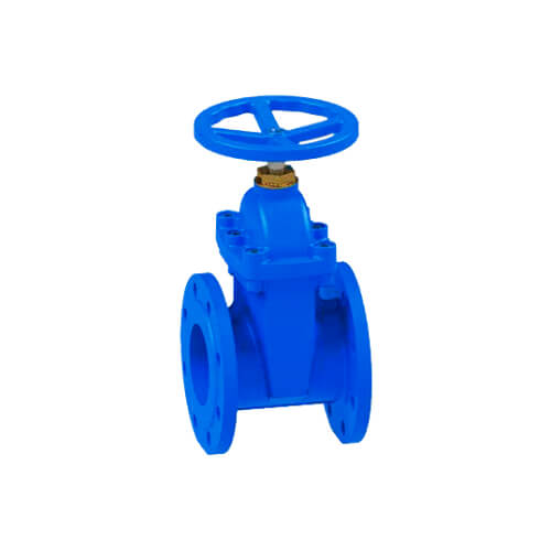 Resilient Seated Gate Valve